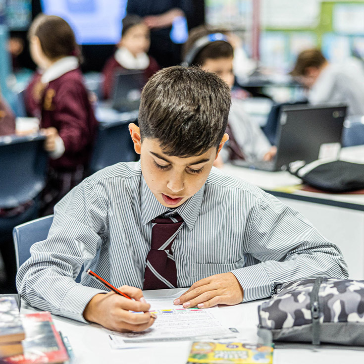 Student learning at Christ the King Catholic Primary School North Rocks