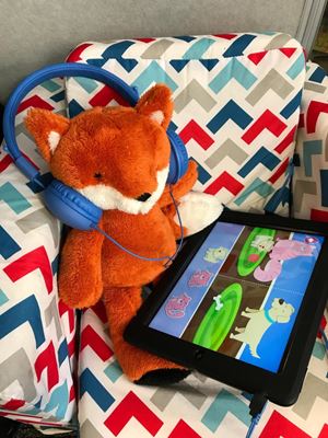 2018 Teddy Bears Picnic 001