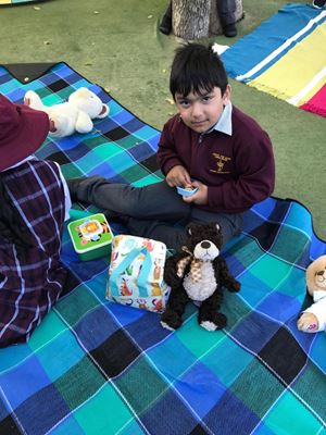 2018 Teddy Bears Picnic 013