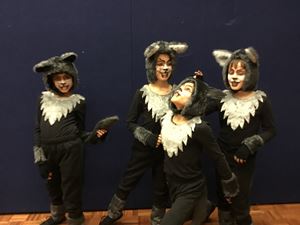 2018 Wakakirri 012