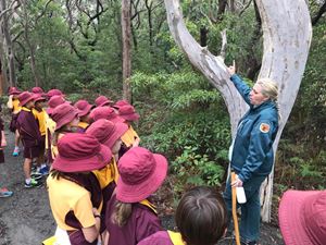 2018 Botany 012