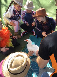 Kindy160293
