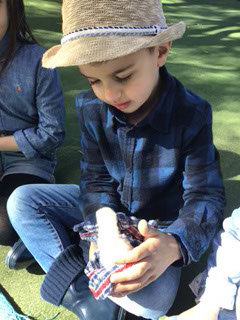 Kindy20200333