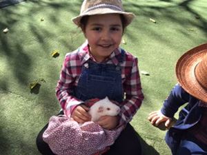 Kindy20200689