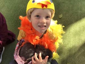 Kindy20200695