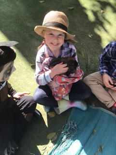 Kindy20200979