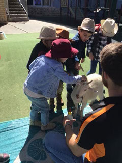 Kindy20201032