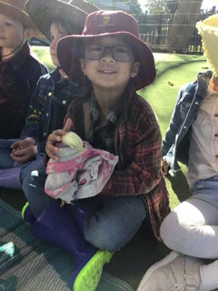 Kindy5