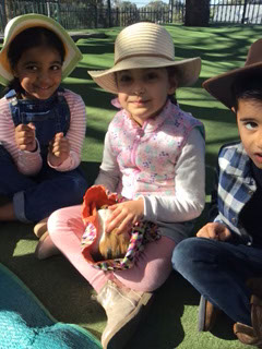Kindy7