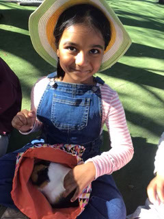 Kindy8