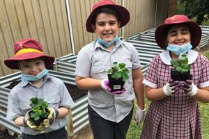 2020 Garden 003