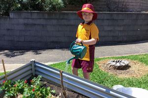 2020 Garden 006