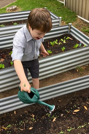 2020 Garden 009