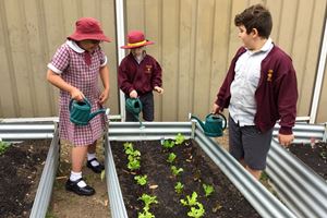2020 Garden 012