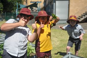 2020 Garden 015