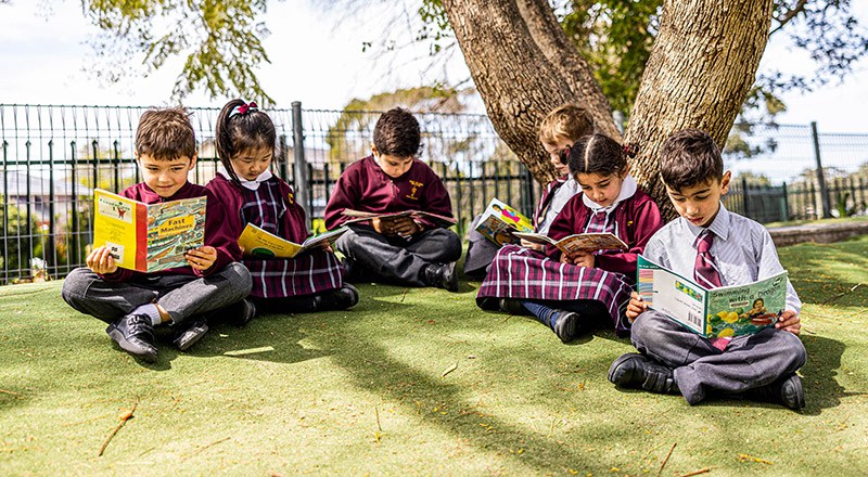 students reading under a tree at Christ the King Catholic Primary School North Rocks