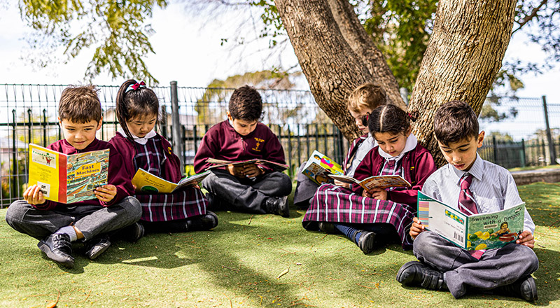 Children reading under a tree at Christ the King Catholic Primary School North Rocks