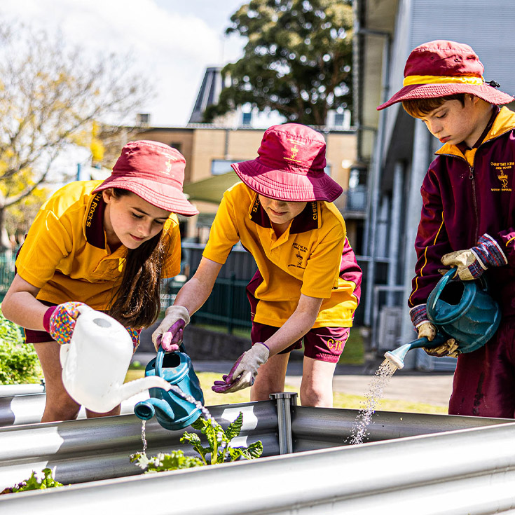 Students gardening at Christ the King Catholic Primary School North Rocks