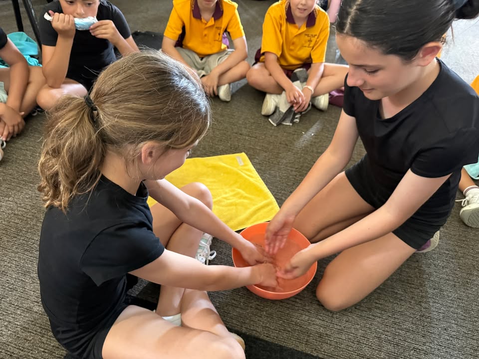 752139413580447_1554690613325319-1