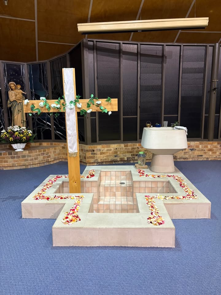 752139413580447_1556501073144273-1