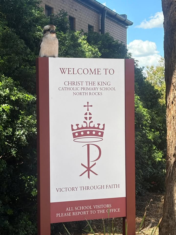 752139413580447_1571571981637182-1