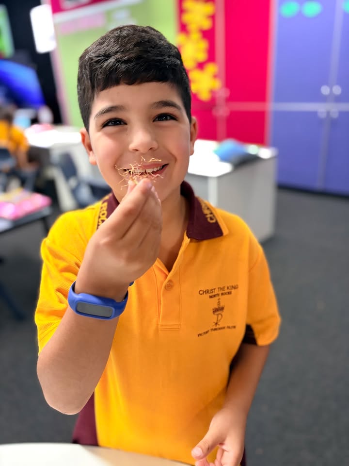 752139413580447_1571720254955688-1